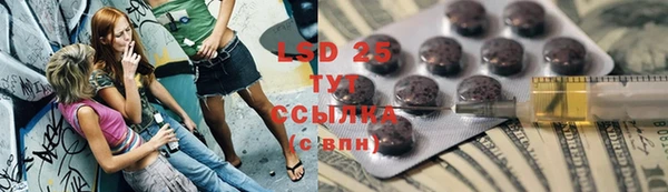 PSILOCYBIN Касимов