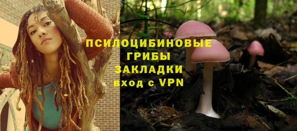 PSILOCYBIN Касимов