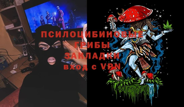 PSILOCYBIN Касимов