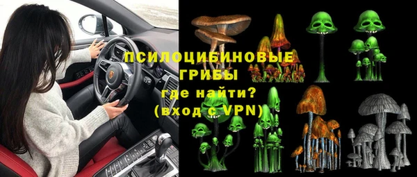 PSILOCYBIN Касимов
