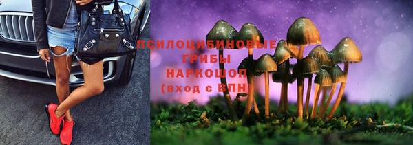 кристаллы Карпинск