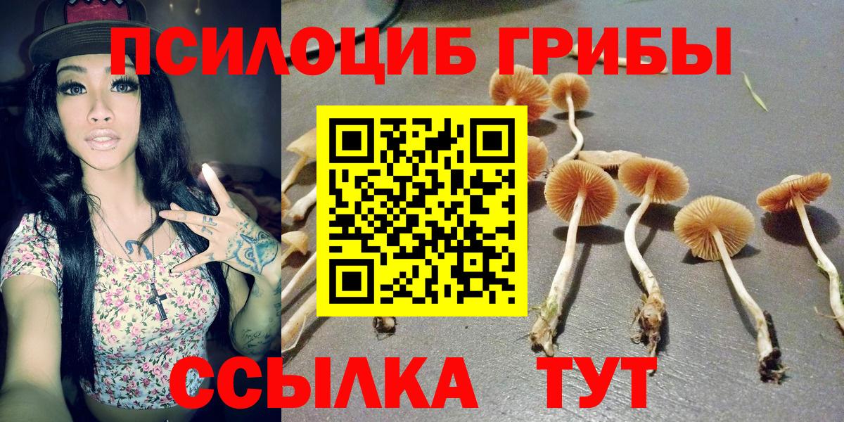 Галлюциногенные грибы MAGIC MUSHROOMS Одинцово