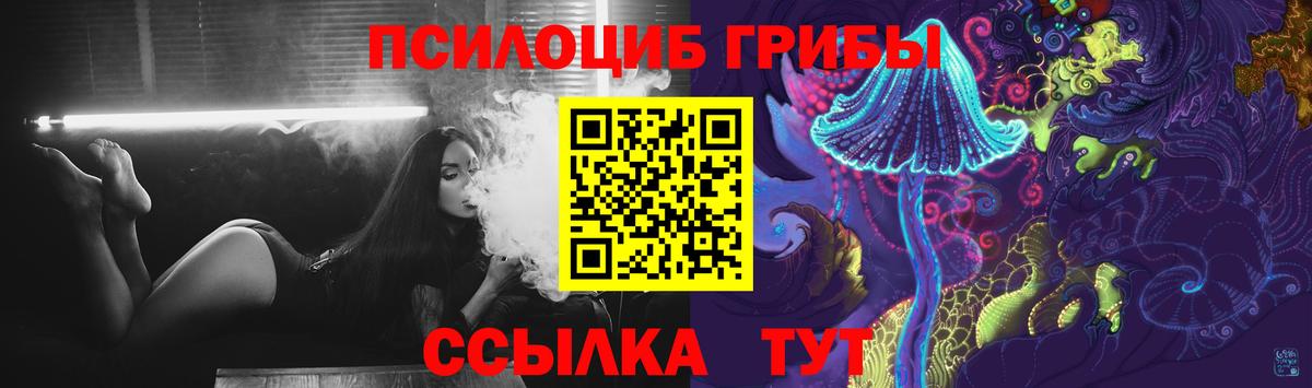 Одинцово  Псилоцибиновые грибы MAGIC MUSHROOMS  наркотики  Вход с VPN 